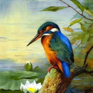 Meet your Posher, Bonnie